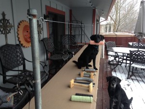 Force fetch table built by Mike Brockman for the club.